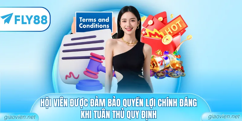 Điều Khoản Điều Kiện - Đảm Bảo Quyền Lợi Hội Viên 2026 3 Hội viên được đảm bảo quyền lợi chính đáng khi tuân thủ quy định