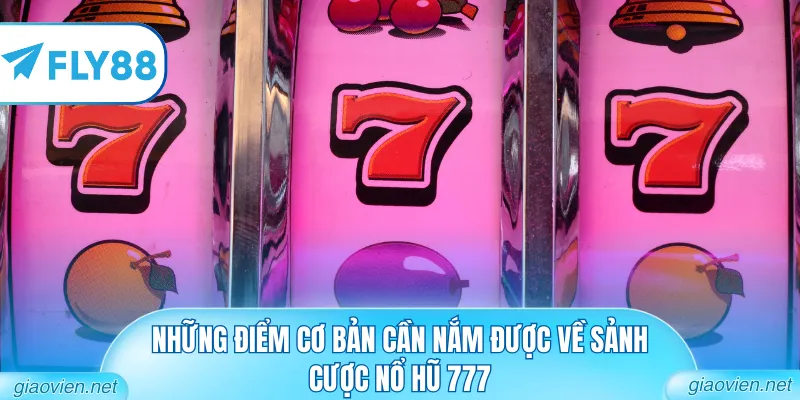 Nổ Hũ 777 - Khám Phá Sảnh Slot Game Đẳng Cấp Thế Giới 1 Những điểm cơ bản cần nắm được về sảnh cược nổ hũ 777